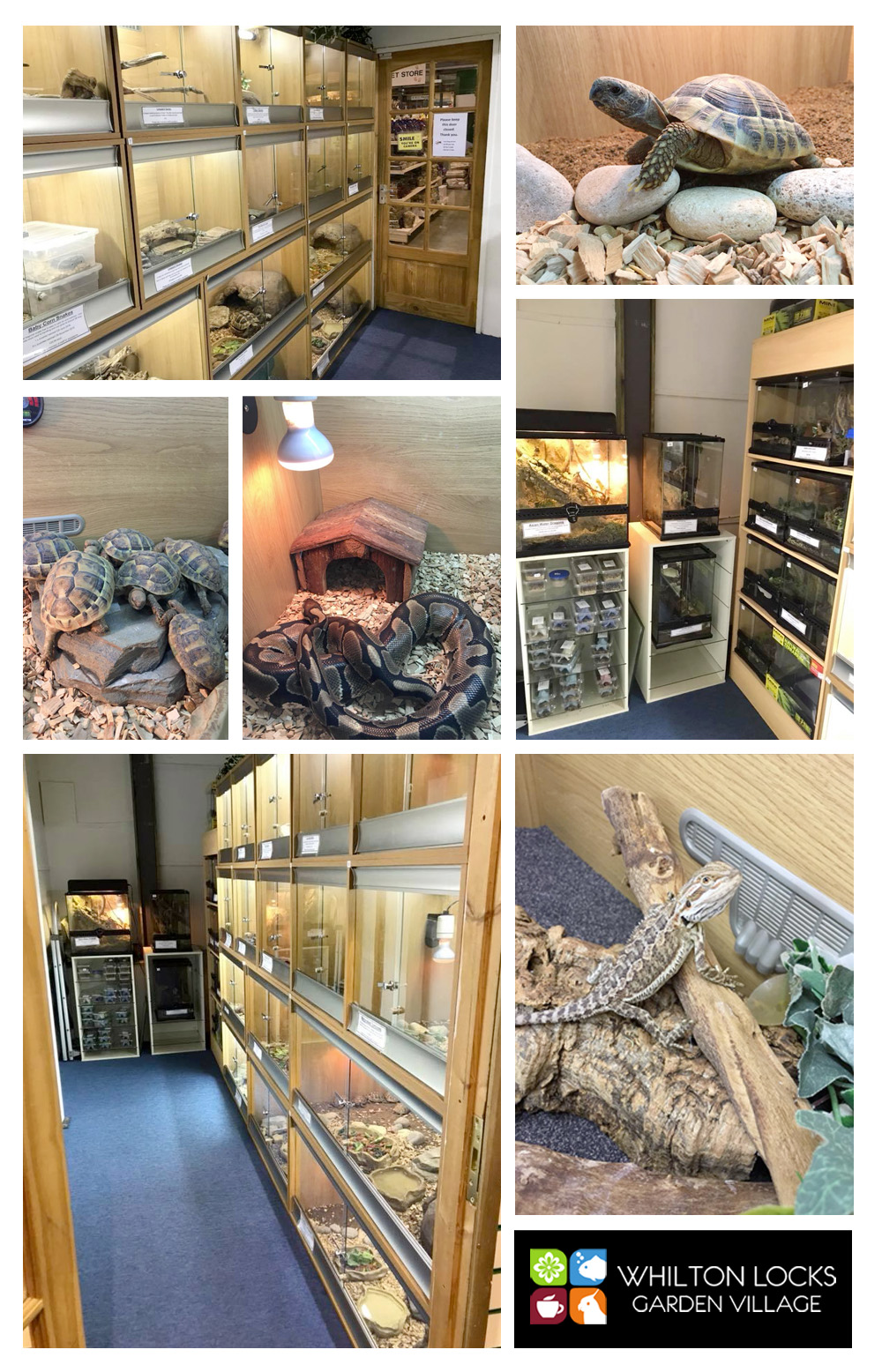 New News! Whilton Locks Garden Village