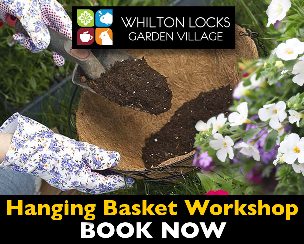 hanging basket workshop