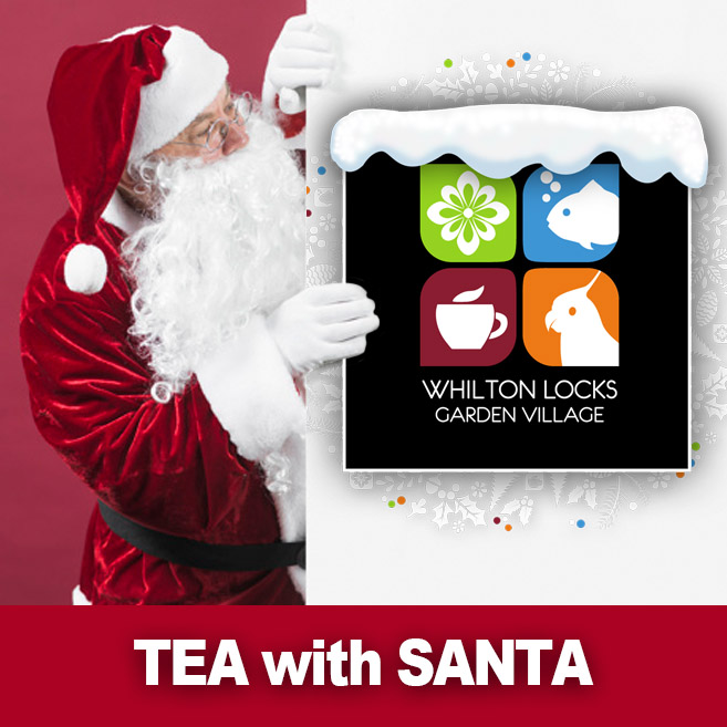 Tea with Santa
