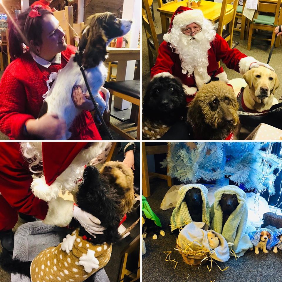 Dog Friendly Northamptonshire