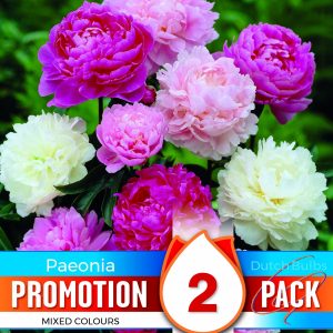 Paeonia Mixed - Promo Pack