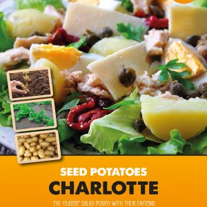 Seed Potato Charlotte - Second Early Starter 'Taster' Pack