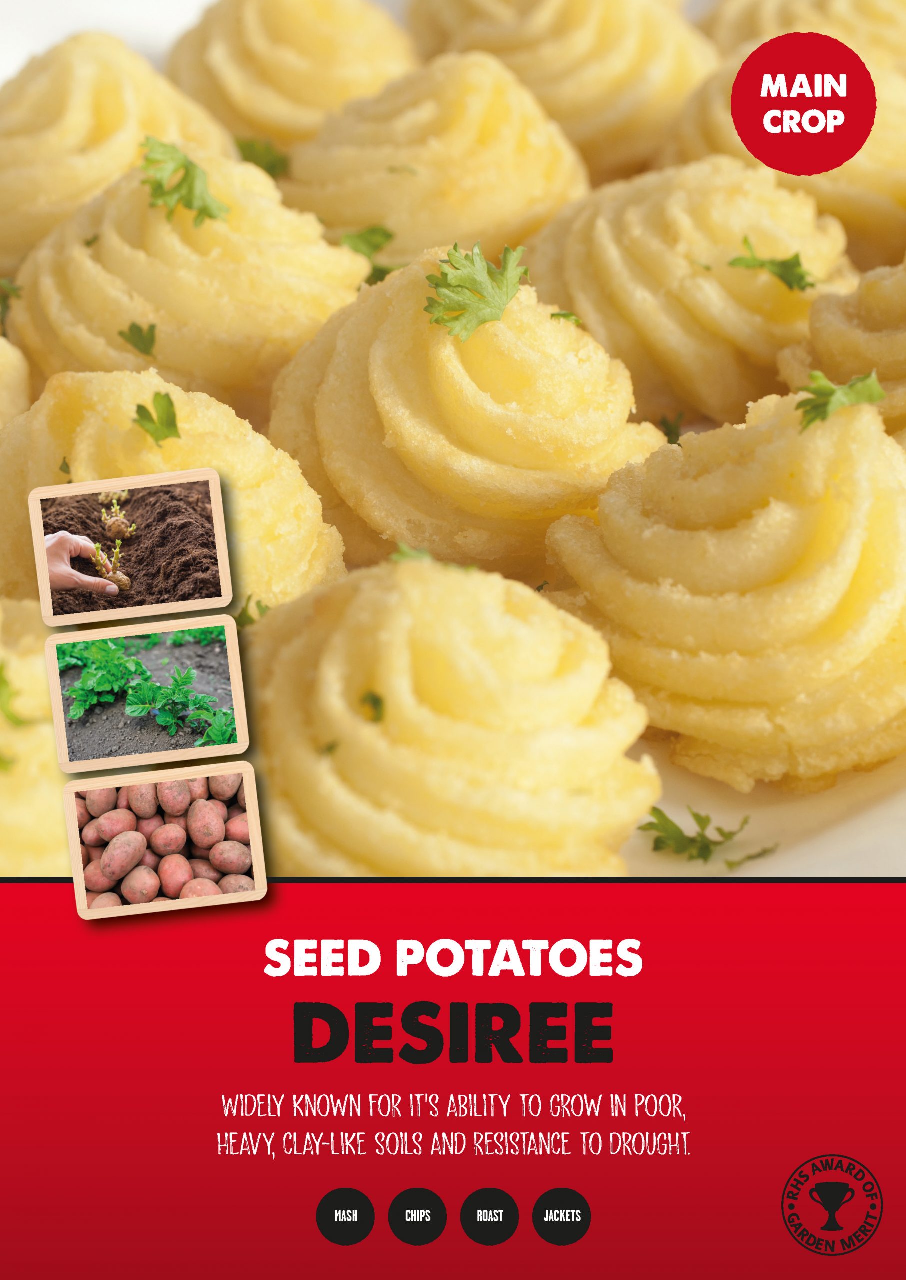 Posters Potatoes - Desiree