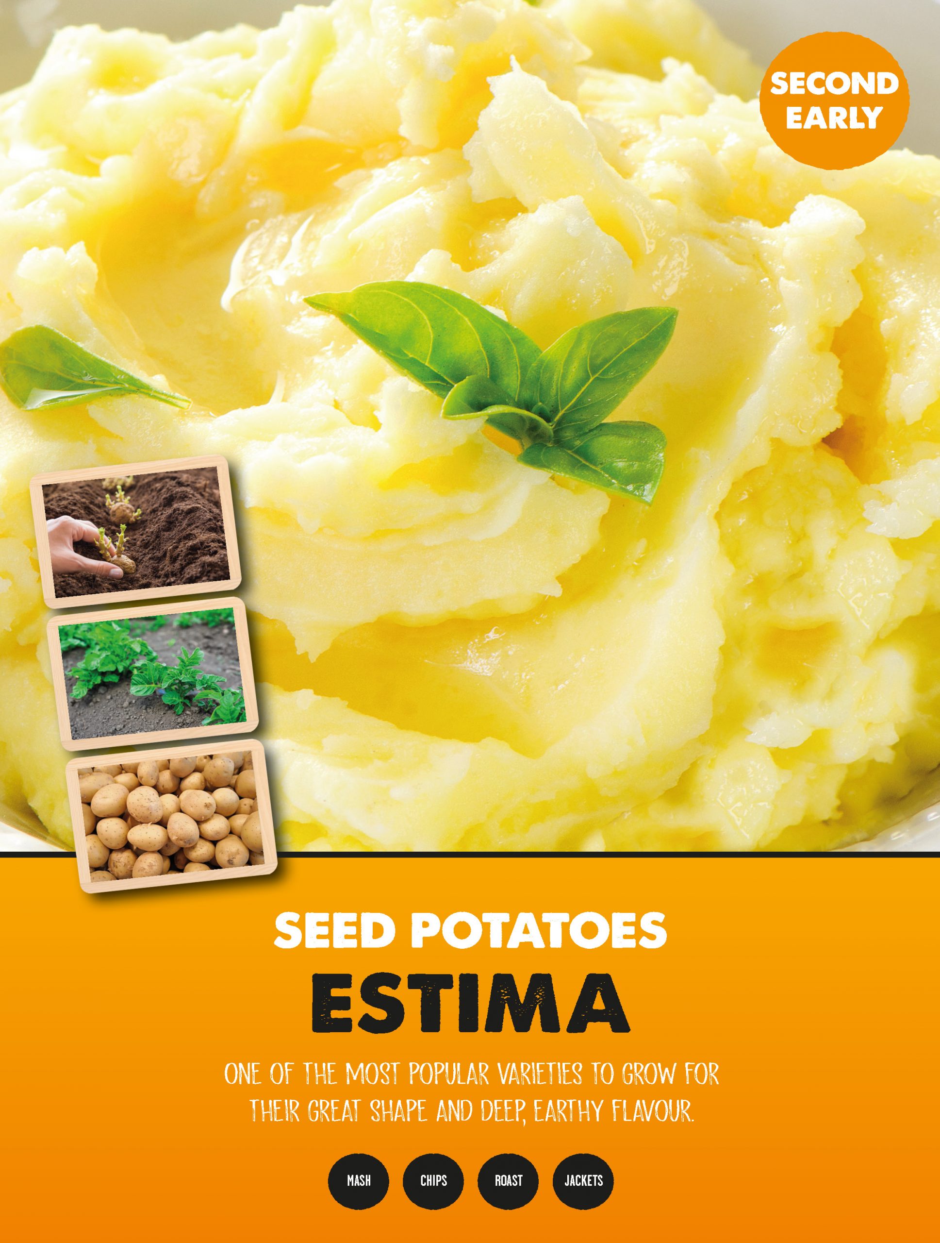 Posters Potatoes - Estima