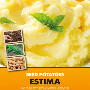 Seed Potato Estima - Second Early Starter 'Taster' Packs