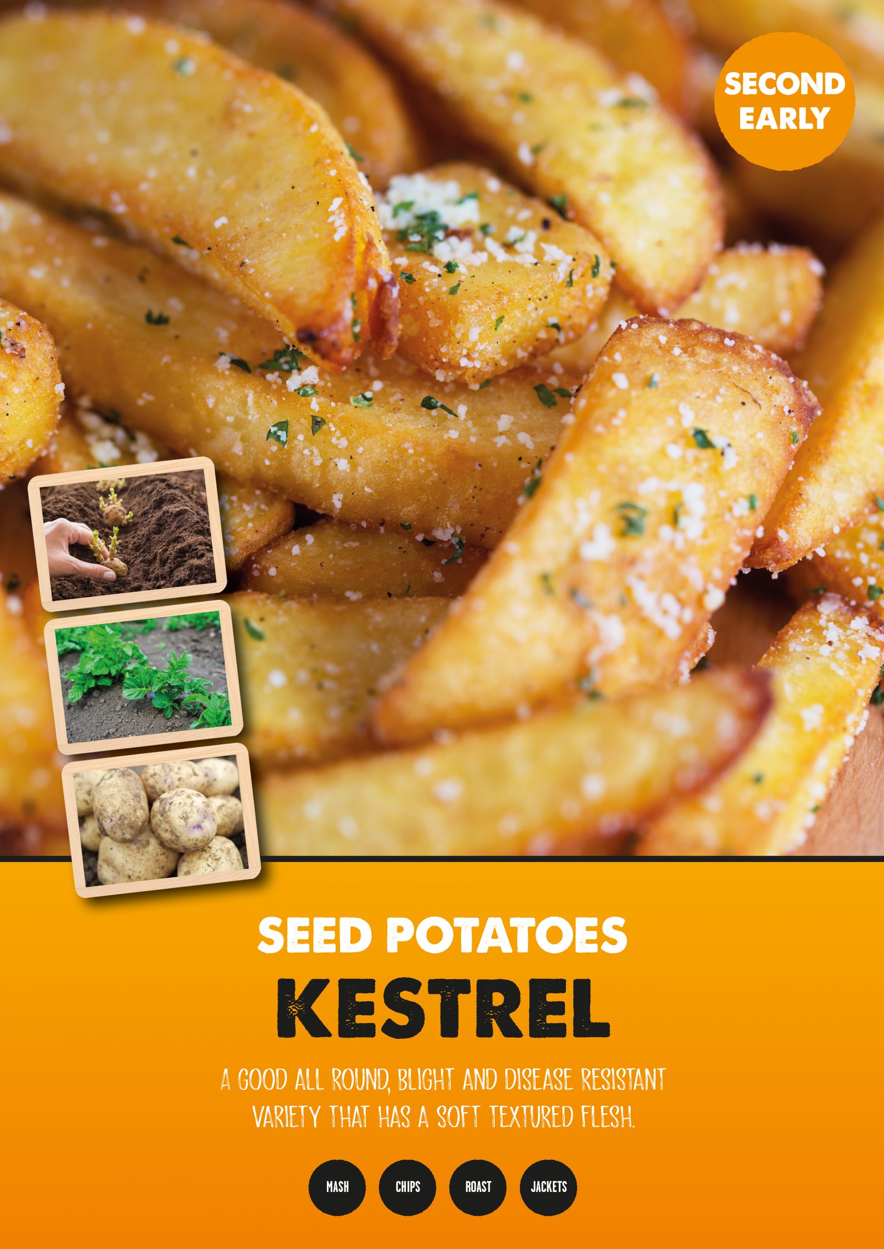 Posters Potatoes - Kestrel
