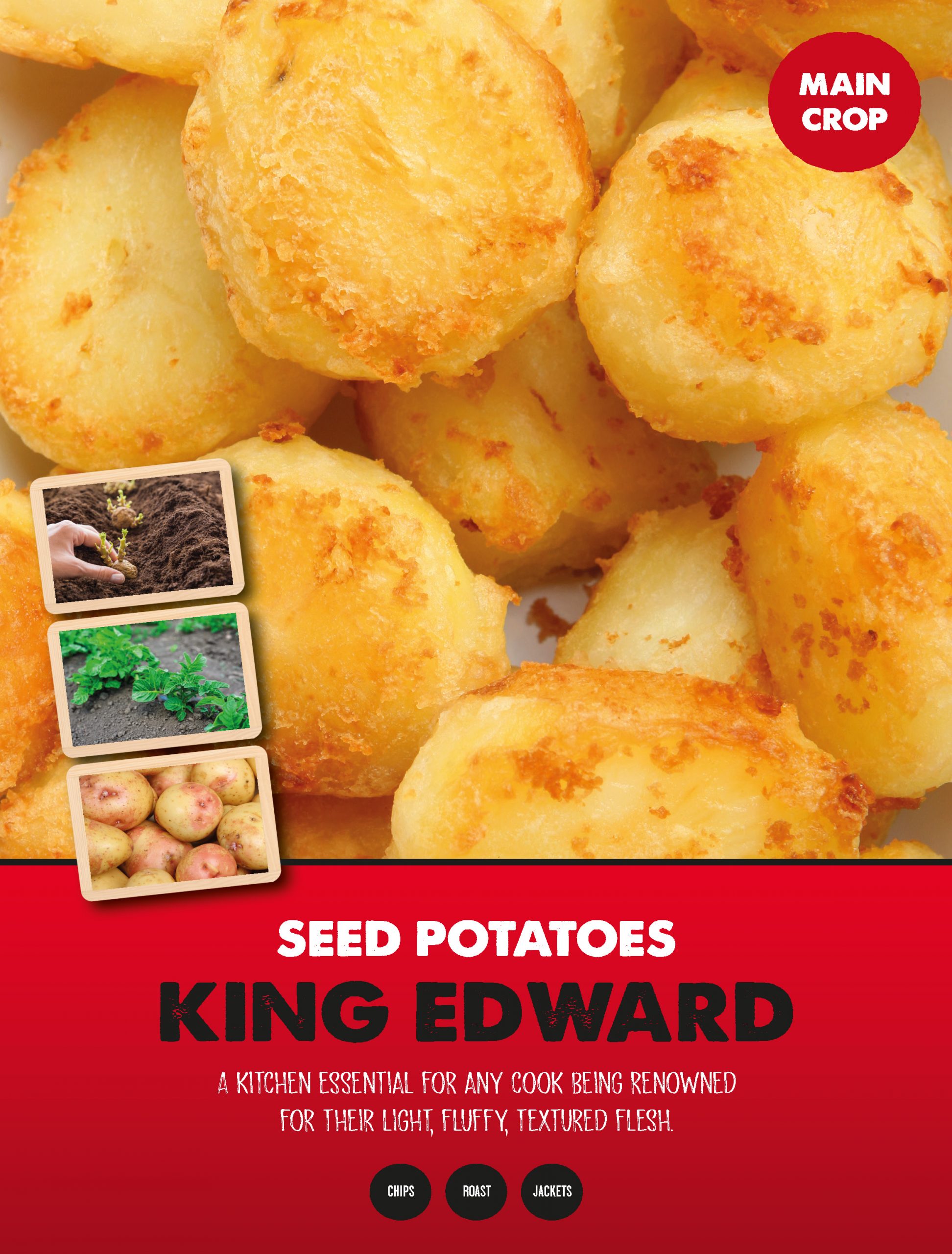 Posters Potatoes - King Edward