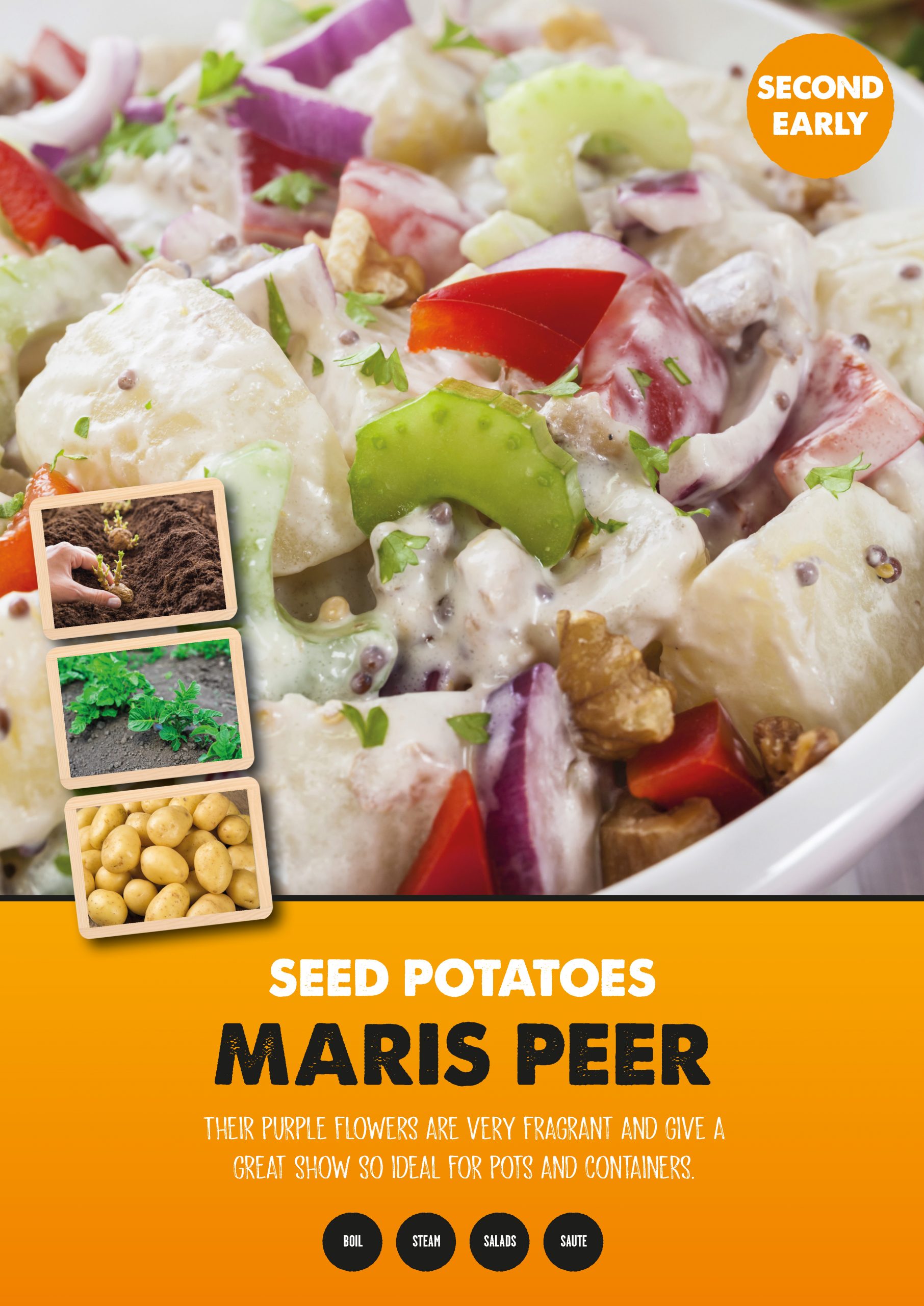 Posters Potatoes - Maris Peer
