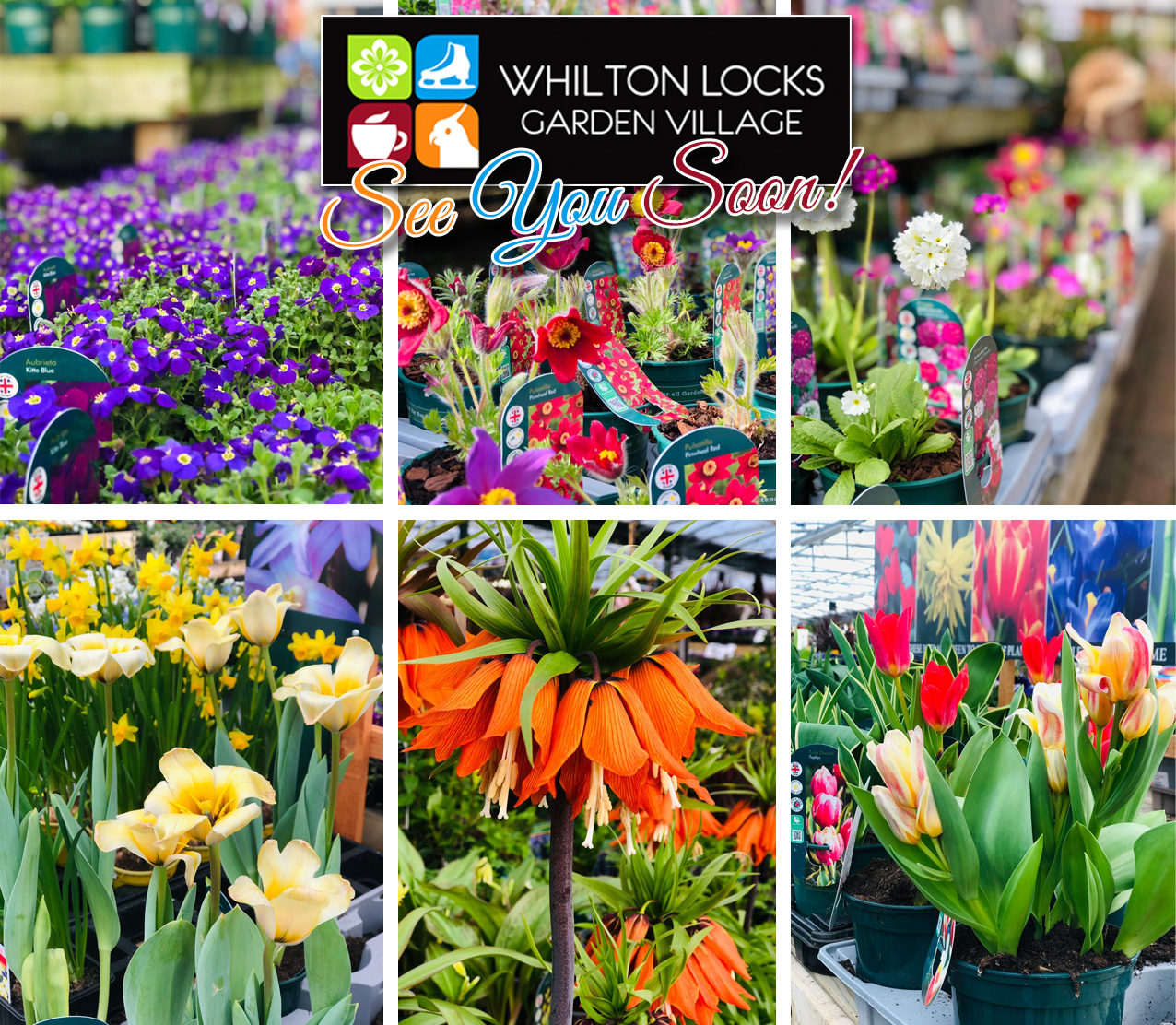 Northampton Garden Centre