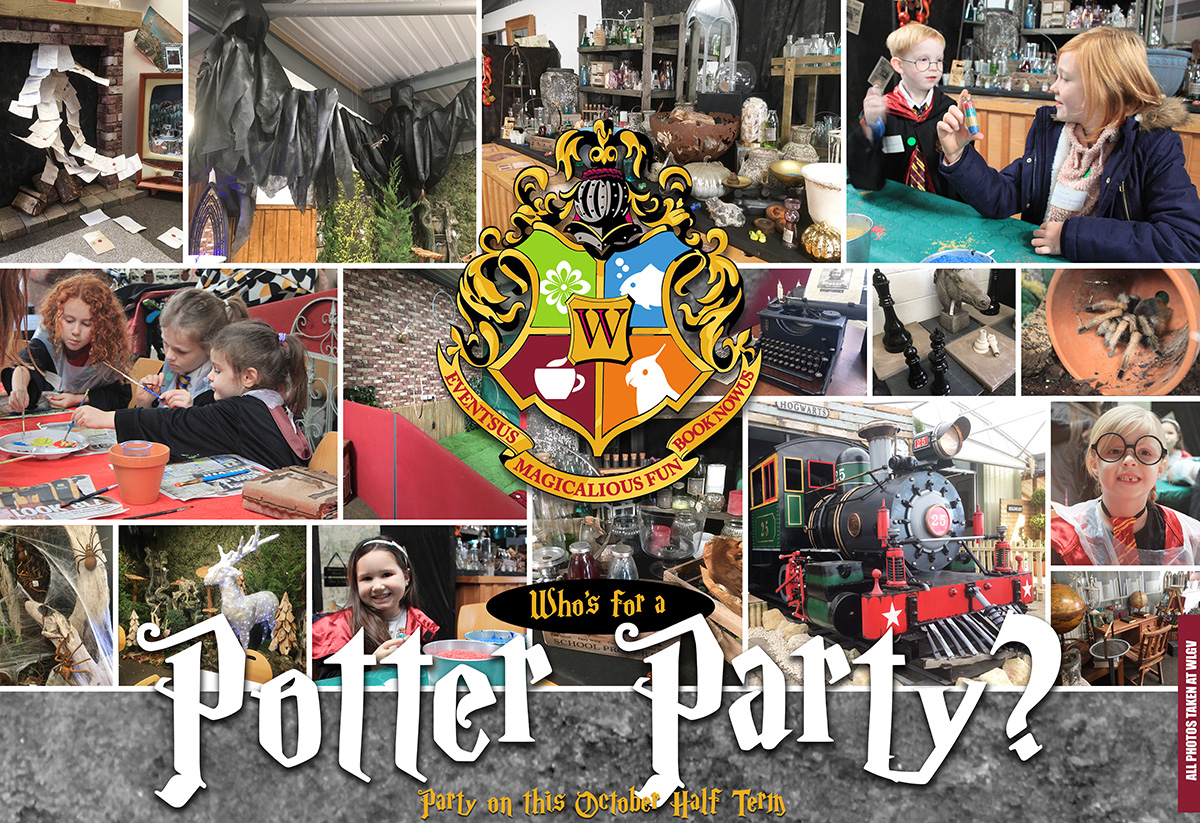 Harry Potter party northamptonshire