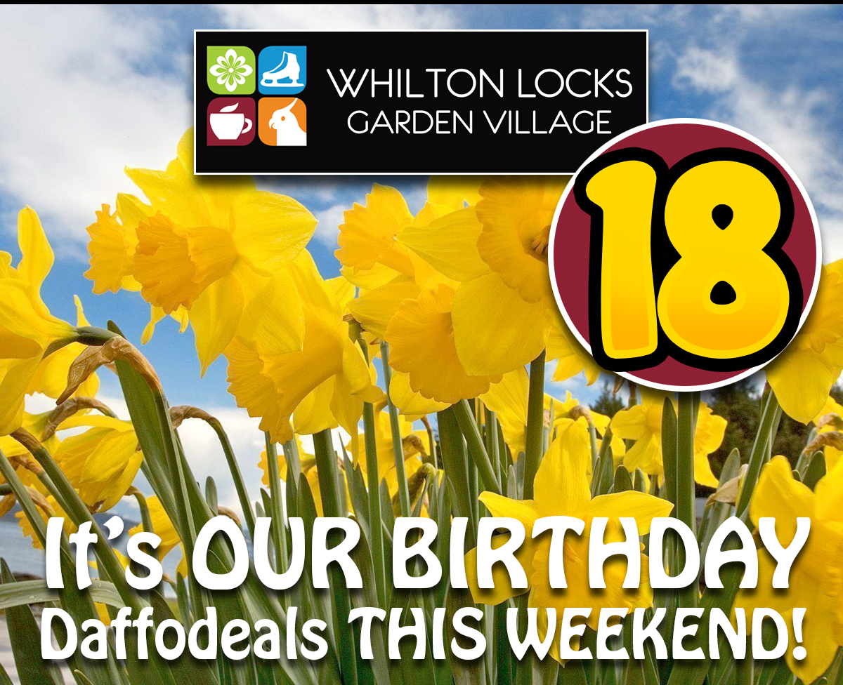 Whilton Locks Birthday 18