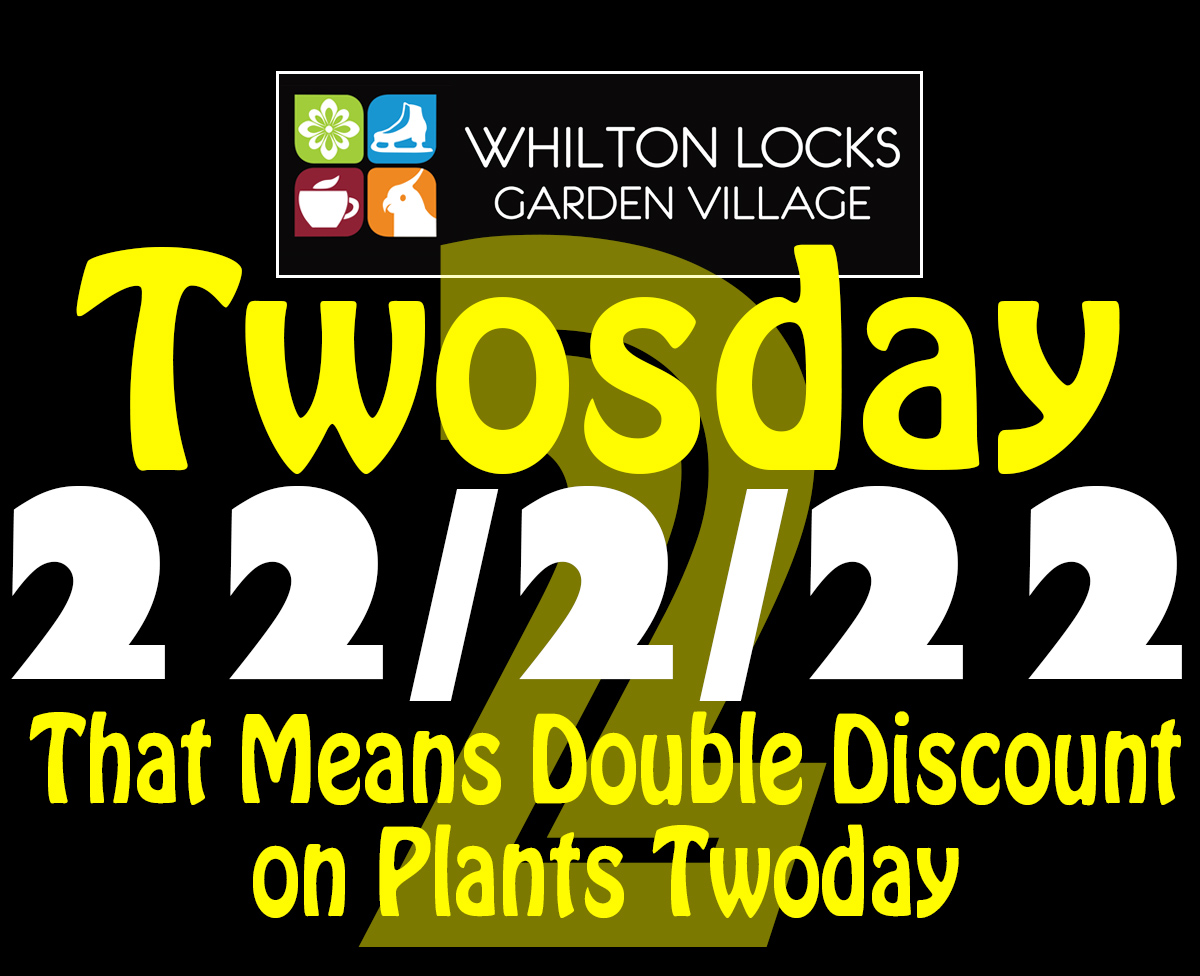 Garden Centre discount