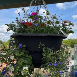 Luxury Hanging Basket Summer 15"