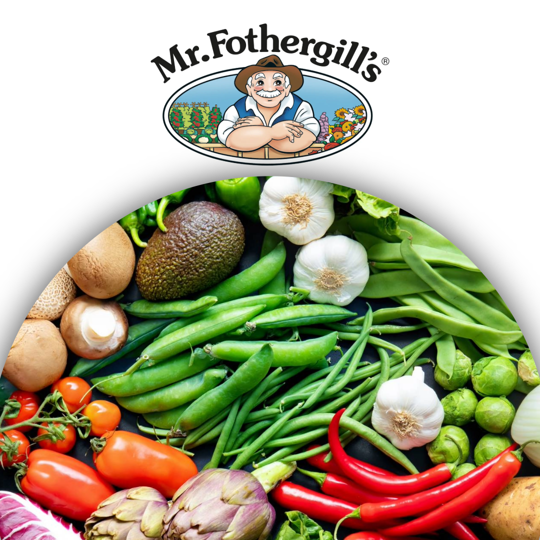 Untitled - 2025-05-09T105932.488