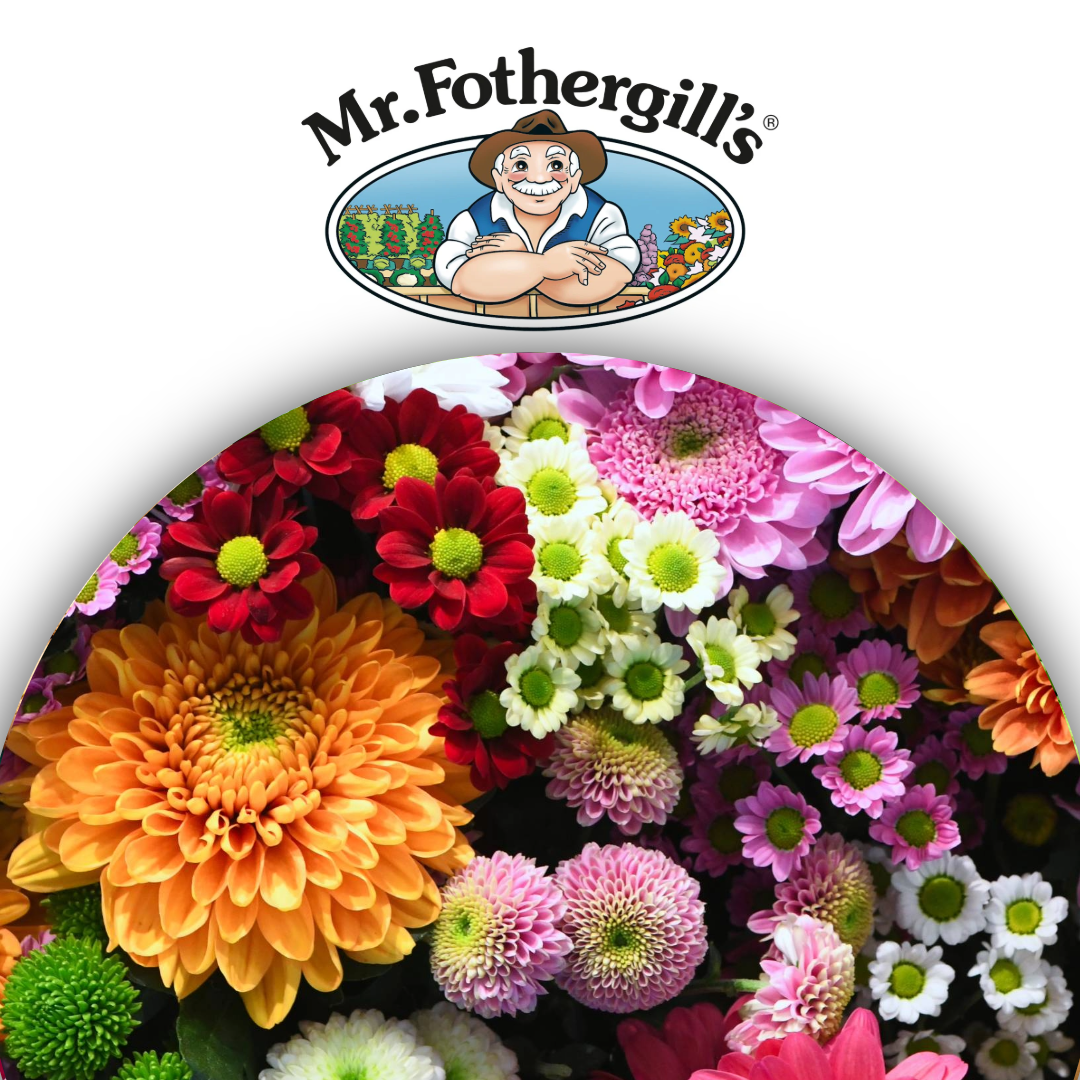 Untitled - 2025-05-09T110216.731