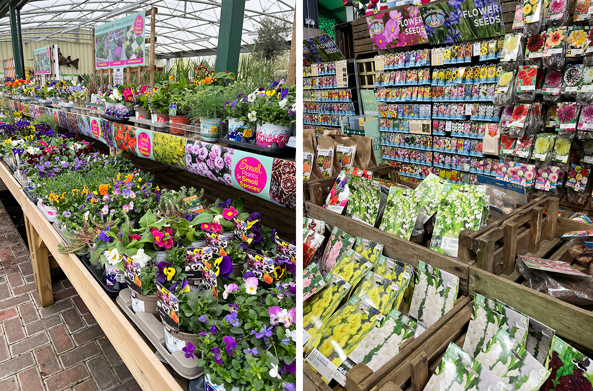 a garden centre that is well stocked 