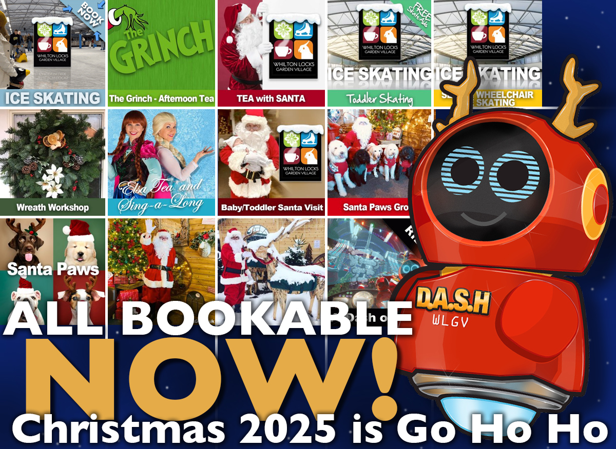 christmas at whilton locks garden centre