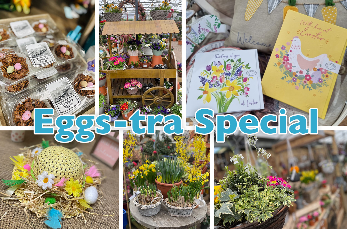 Easter things to do Northamptonshire