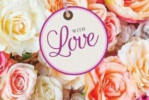 Gift Bush Roses - 4.5lt Pot